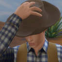 mostly-cowboy-sims