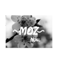 moz-now-blog