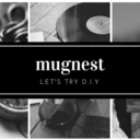 mugnest-blog