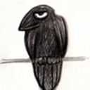 murielles-crowsnest avatar