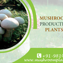 mushroomplants-blog