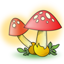 mushrooms-en-blog