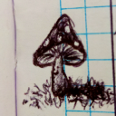 mushroomsleepy
