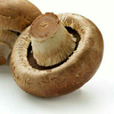 mushroomstan
