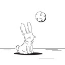my-wandering-rabbit