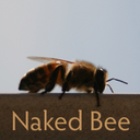 naked-bee
