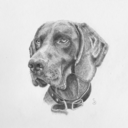 nameddog-blog-blog