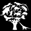 naturalworldacademy-blog avatar
