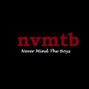 nevermindtheboys-blog