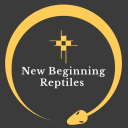 new-beginning-reptiles