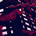 new-york-city-spiders