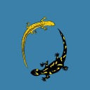 newt-and-salamander