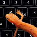 newt-with-a-keyboard
