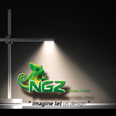 ngzgroup-blog