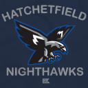 nighthawks-official