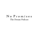 nopromisespodcast-blog