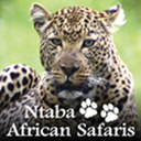 ntabaafricansafaris-blog
