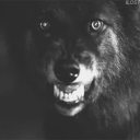 obsidian-wolf-spirit