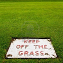 off-the-grass