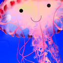 ohjellyfish