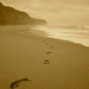 only-footprints-blog-blog