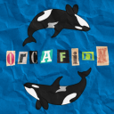 orca-finn