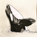 orca-sketcher