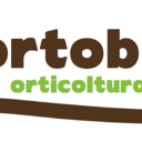 ortobombo-blog