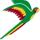 parrotes-blog