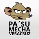 pasumechaveracruz-blog