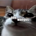 pee-wangus