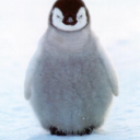 penguininapinktuxedo