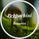 peppachini-quotes-the-world-blog