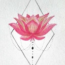 petals-of-lotus