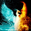 phoenix-rising29