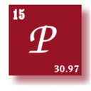 phosphorus--15-blog