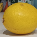 phycology-lemon