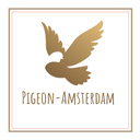 pigeon-amsterdam-blog