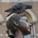 pigeonheadsmumblngs