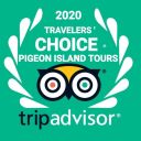 pigeonislandtours-blog