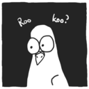 pinguidpigeon avatar