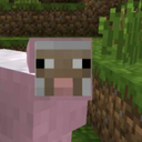 pink-sheeps