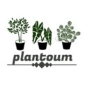 plantoum-blog