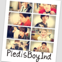 pledisboysindonesia-blog