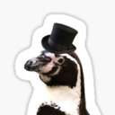 pompous-puffed-up-penguin