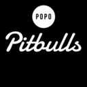 popopitbulls-blog