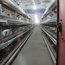 poultryequipments-blog
