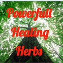 powerful-healing-herbs-blog