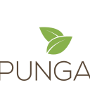 pungao-blog