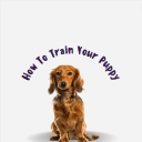 puppy-training